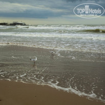 фото из отзыва ID 775935