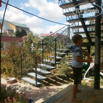 фото из отзыва ID 775828