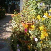 фото из отзыва ID 775828