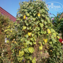 фото из отзыва ID 775828