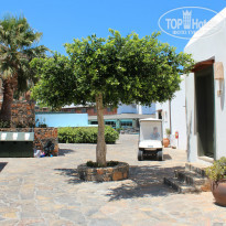 фото из отзыва ID 776522