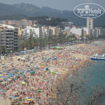 фото из отзыва ID 776534