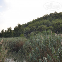 фото из отзыва ID 776675