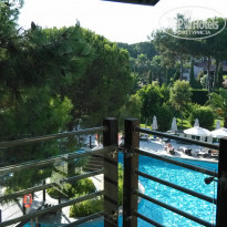 фото из отзыва ID 776846