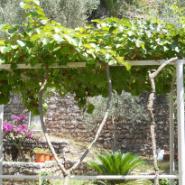 фото из отзыва ID 776864