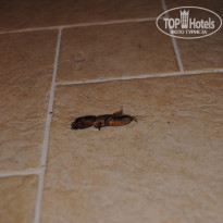 фото из отзыва ID 776880