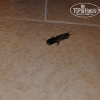 фото из отзыва ID 776880