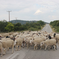 фото из отзыва ID 776919