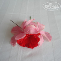 фото из отзыва ID 776946