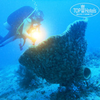 фото из отзыва ID 776946