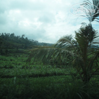 фото из отзыва ID 776946