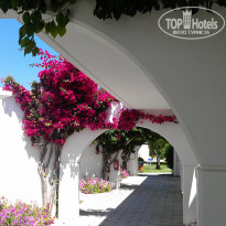 фото из отзыва ID 776977