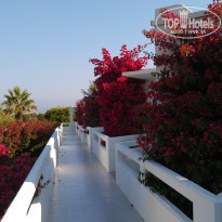 фото из отзыва ID 776977