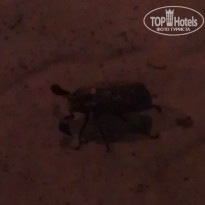 фото из отзыва ID 776977