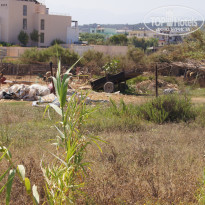 фото из отзыва ID 777073