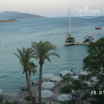 фото из отзыва ID 777280