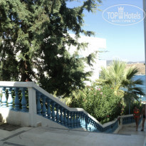 фото из отзыва ID 777614