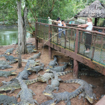 фото из отзыва ID 777670