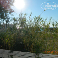 фото из отзыва ID 777881