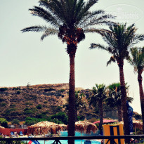 фото из отзыва ID 777922