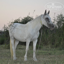 фото из отзыва ID 777941