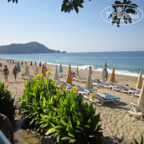 фото из отзыва ID 777144