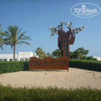 фото из отзыва ID 778084