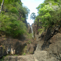 фото из отзыва ID 778288