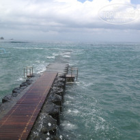 фото из отзыва ID 778359