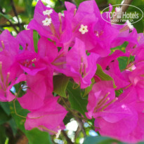 фото из отзыва ID 778446