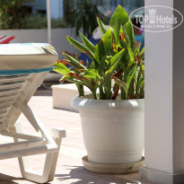 фото из отзыва ID 778881