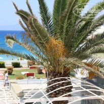 фото из отзыва ID 778881