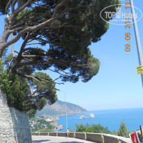 фото из отзыва ID 778343