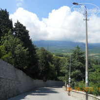 фото из отзыва ID 778343