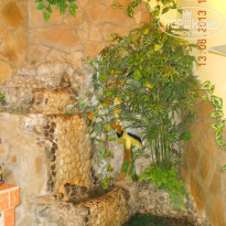 фото из отзыва ID 778343