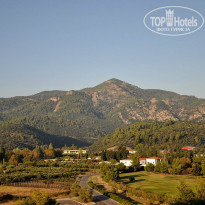 фото из отзыва ID 779052