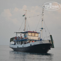 фото из отзыва ID 779100