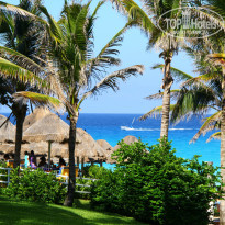 фото из отзыва ID 779119