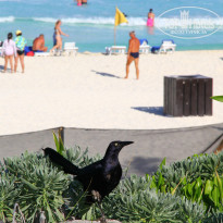 фото из отзыва ID 779119