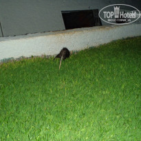 фото из отзыва ID 779119