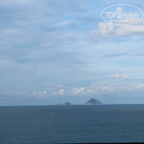 фото из отзыва ID 779176