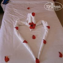 фото из отзыва ID 779365