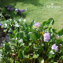 фото из отзыва ID 779465