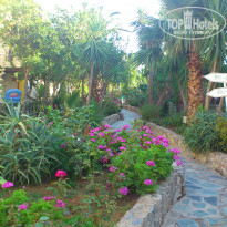 фото из отзыва ID 779581