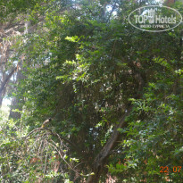 фото из отзыва ID 779656