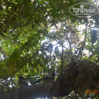 фото из отзыва ID 779656