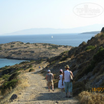 фото из отзыва ID 779675