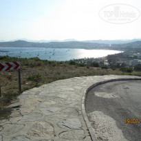 фото из отзыва ID 779675