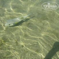 фото из отзыва ID 779951