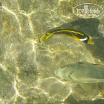 фото из отзыва ID 779951